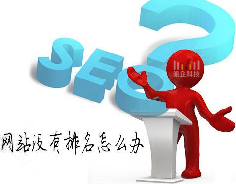 网站排名 网站排名